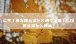 苹果手机媒体音量怎么调（苹果手机媒体音量怎么调高）