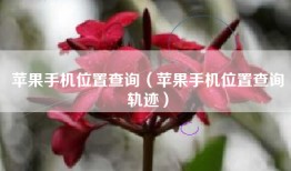 苹果手机位置查询（苹果手机位置查询轨迹）