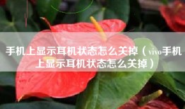 手机上显示耳机状态怎么关掉（vivo手机上显示耳机状态怎么关掉）