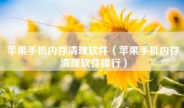 苹果手机内存清理软件（苹果手机内存清理软件排行）