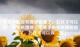 苹果手机没有媒体音量了，怎样才可以恢復呢手机媒体「苹果手机没有媒体音量了，怎样才可以恢復呢」