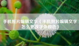 手机照片编辑文字（手机照片编辑文字怎么更改字体颜色）