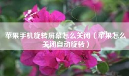 苹果手机旋转屏幕怎么关闭（苹果怎么关闭自动旋转）