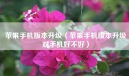 苹果手机版本升级（苹果手机版本升级对手机好不好）