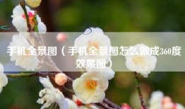 手机全景图（手机全景图怎么做成360度效果图）