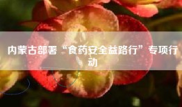 内蒙古部署“食药安全益路行”专项行动
