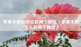 苹果手机如何安装两个微信（苹果手机怎么装两个微信）