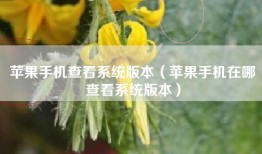 苹果手机查看系统版本（苹果手机在哪查看系统版本）