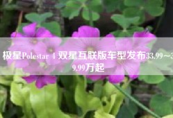 极星Polestar 4 双星互联版车型发布33.99~39.99万起