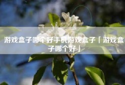 游戏盒子哪个好手机游戏盒子「游戏盒子哪个好」