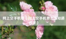 网上交手机费（网上交手机费怎么知道名字）