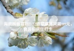 海底捞新福利！12道荤菜竟只需109元，食客们疯狂打卡