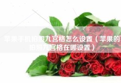 苹果手机拍照九宫格怎么设置（苹果的拍照九宫格在哪设置）