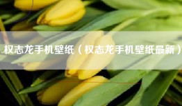 权志龙手机壁纸（权志龙手机壁纸最新）