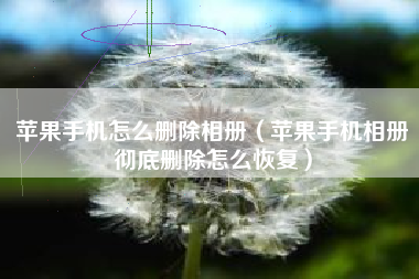 苹果手机怎么删除相册（苹果手机相册彻底删除怎么恢复）