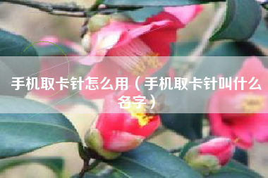 手机取卡针怎么用（手机取卡针叫什么名字）