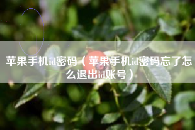 苹果手机id密码（苹果手机id密码忘了怎么退出id账号）