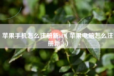 苹果手机怎么注册新id（苹果电脑怎么注册新id）