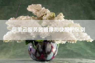 阿里云服务器镜像和快照的区别