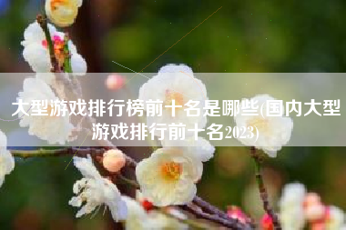 大型游戏排行榜前十名是哪些(国内大型游戏排行前十名2023)